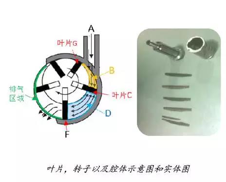 香蕉APP下载视频打磨机