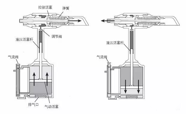 大香蕉性爱毛片分解图