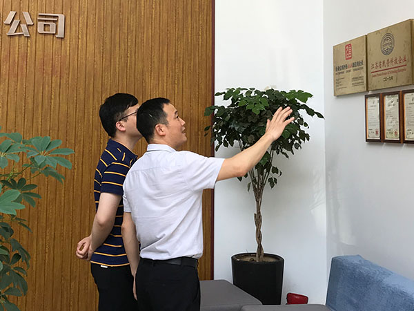 香蕉APP下载视频自动拉钉机